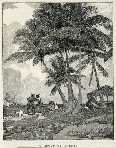 Um grupo de palmeiras, de The Century Magazine, fevereiro de 1887 de Winslow Homer