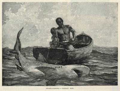 Um vendedor ambulante, um portão de Nassau, pesca de tubarões - Bar de Nassau, da The Century Magazine, fevereiro de 1887 de Winslow Homer