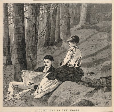 A Quiet Day in the Woods, do Appletons