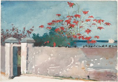 A Wall, Nassau de Winslow Homer