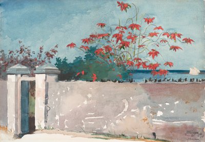 Um Muro, Nassau, 1898. de Winslow Homer