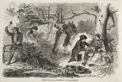 Natal – Árvores perenes para a época festiva de Winslow Homer