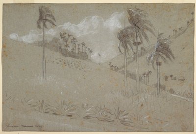 Desenho, encosta cubana, 1885 de Winslow Homer