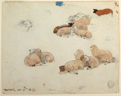 Desenho, Ovelhas a descansar, 15 de outubro de 1878 de Winslow Homer