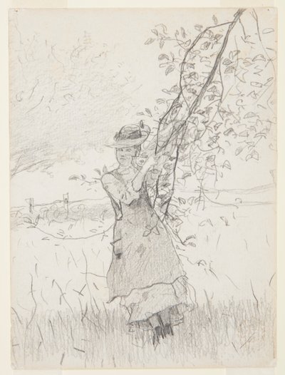 Garota segurando um galho de uma macieira de Winslow Homer