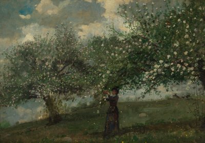 Garota colhendo flores de macieira de Winslow Homer