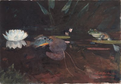 Lagoa do vison de Winslow Homer
