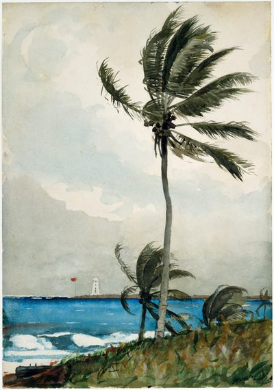 Palme, Nassau von Winslow Homer