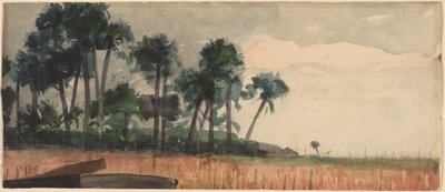 Palmeiras, Vermelho de Winslow Homer