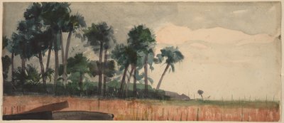 Palmeiras vermelhas de Winslow Homer