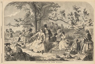 Picknicking na floresta, de Harper de Winslow Homer