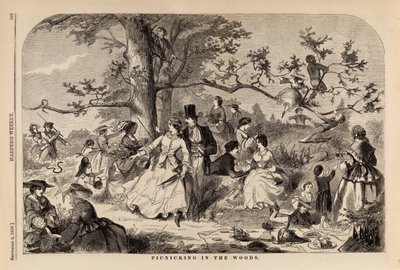 Picnicking in the Woods, de Harper