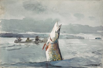 Lake St. John de Winslow Homer