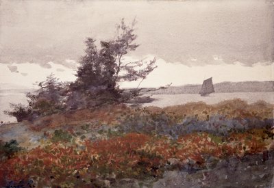 paisagem de Winslow Homer