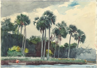 Camisa Vermelha, Homosassa, Flórida de Winslow Homer