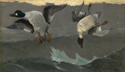 Direita esquerda de Winslow Homer