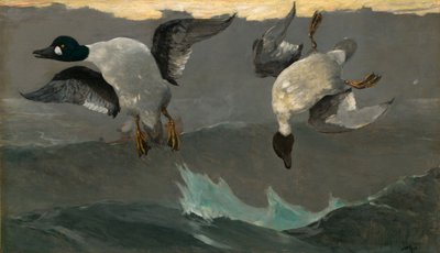 Direita e esquerda de Winslow Homer