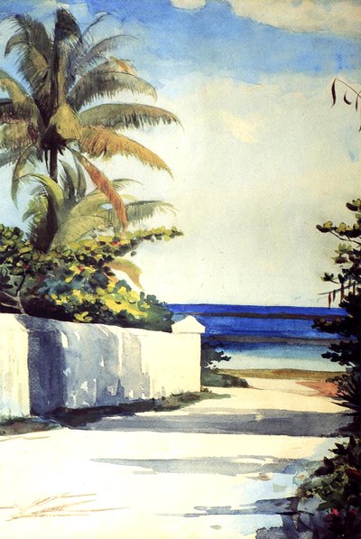 Estrada em Nassau, 1898-99 de Winslow Homer