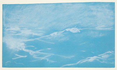 Gaivota e ondas de Winslow Homer