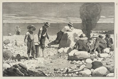  de Winslow Homer