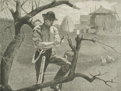  de Winslow Homer