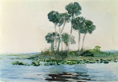 Rio São João, Flórida, 1890 de Winslow Homer