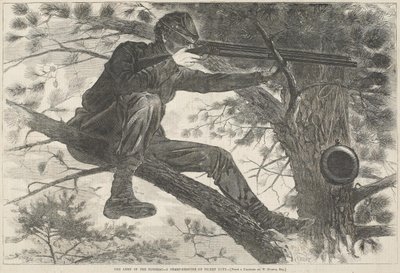  de Winslow Homer