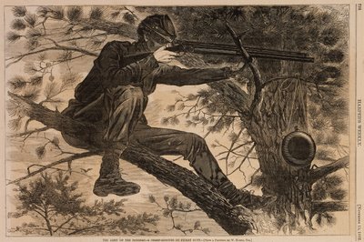 O Exército de Potomac - Um atirador de elite em serviço de piquete, de Harper