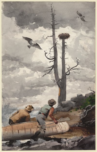 O Ninho da Águia de Winslow Homer