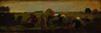 Os respigadores de Winslow Homer