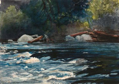 The Rapids, Rio Hudson, Adirondacks de Winslow Homer