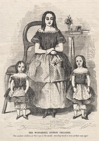 As Maravilhosas Crianças dos Dutton de Winslow Homer