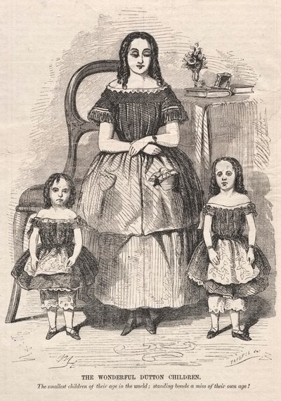 As Crianças Maravilhosas de Dutton, 1859. de Winslow Homer