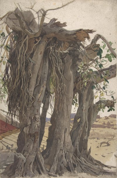 Estudo de um toco com raízes aéreas, meados do século XIX-início do século XX. de Woldemar Friedrich