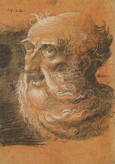 Estudo da Cabeça, 1522 (carvão e giz branco sobre papel) de Wolf Huber