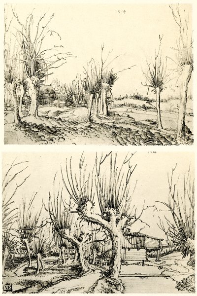 Paisagens com árvores de salgueiro de Wolf Huber