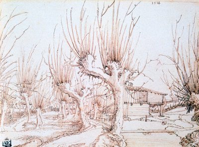 "Plantação de salgueiro", 1514 de Wolf Huber