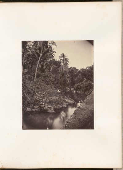 [Rio em Kupang]. de Woodbury and Page