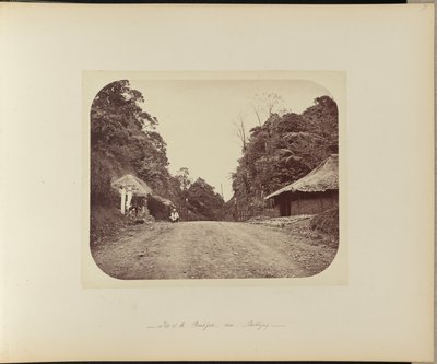 Topo do Poentjak perto de Buitenzorg de Woodbury and Page