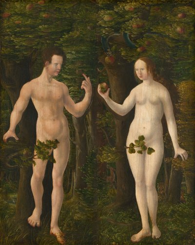 The Fall of Man [painel do meio], c. 1535. de Workshop of Albrecht Altdorfer