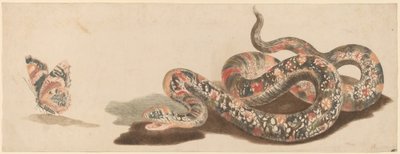 Snake and Butterfly, 1680s1690s. de Workshop of Johann Teyler