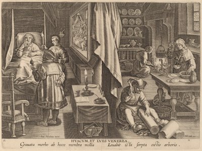 Hyacum e Lues Venerea (Guaiacum e infecção venérea) de Workshop of Philip Galle after Jan van der Straet