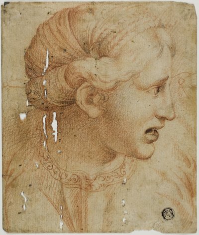 Cabeça de mulher de perfil, virada para a direita de Workshop of Raphael
