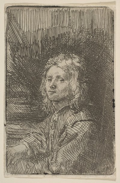 Jovem, Meio Comprimento, 1620-69. de Workshop of Rembrandt