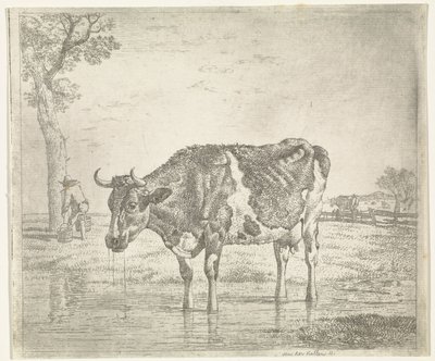 vaca bebendo de Wouter Johannes van Troostwijk