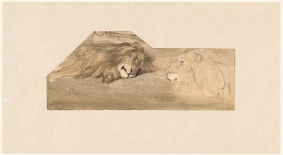 Estudos de dois leões de Wouter Johannes van Troostwijk