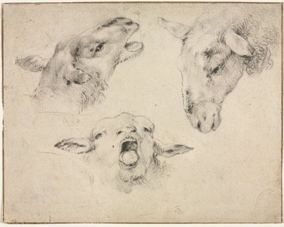 Cabeças de ovelhas, segundo ou terceiro trimestre de 1800. de Wouterus Verschuur