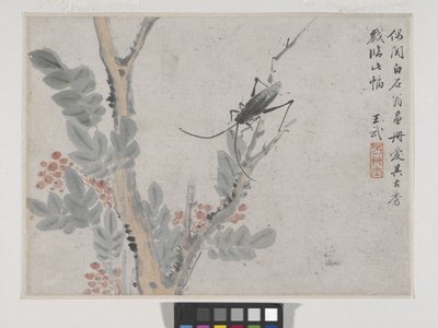 Insecto e árvore depois de Shen Zhou (tinta e cor sobre papel) de Wu Wang