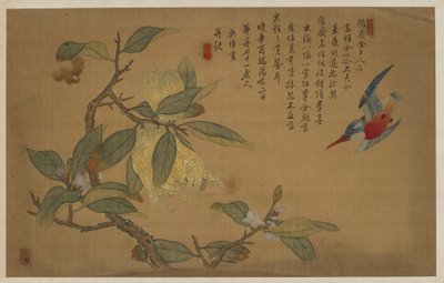 Bird, Fruit, and Flowers, Qing dynasty, 1741. de Wu Zhang