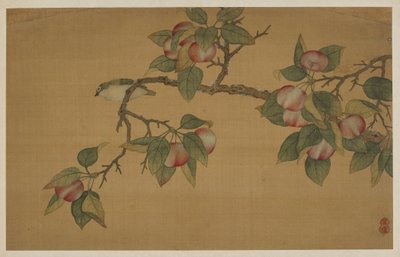 Bird and Fruit, dinastia Qing, 1741. de Wu Zhang